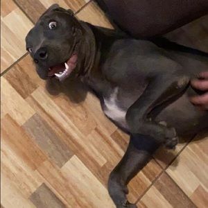 Meet your Posher, Carlos